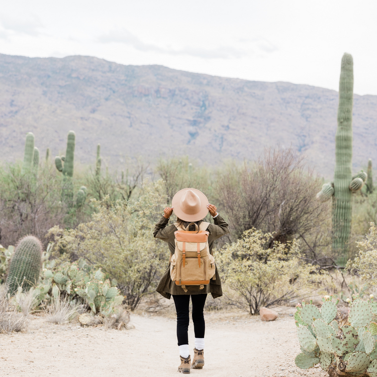 Wayfarer Collection - Our Classic Line